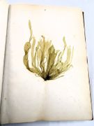 Image de livre