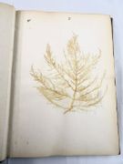 Image de livre