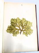 Image de livre