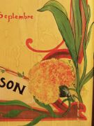 Image de livre