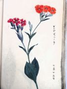 Image de livre