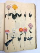 Image de livre