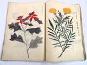 Image de livre