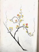 Image de livre