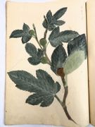 Image de livre