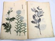 Image de livre