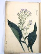 Image de livre