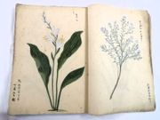 Image de livre