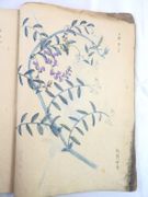 Image de livre