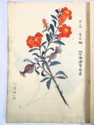 Image de livre
