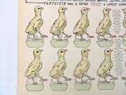 Mes Petits Poussins Deviendront Coqs. Imagerie d'Epinal n° 2100. Fantaisie dans le genre, personnages et soldats à aspects complet assimilé à grandes constructions.  par [MORINET, Louis Georges Albert (1863-1926)]  - Image 2