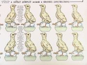 Mes Petits Poussins Deviendront Coqs. Imagerie d'Epinal n° 2100. Fantaisie dans le genre, personnages et soldats à aspects complet assimilé à grandes constructions.  par [MORINET, Louis Georges Albert (1863-1926)]  - Image 3