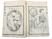 Zentai Shinron  Nouvelles théories sur le corps humain en entier - New theories about the human body as a whole .  par HOBSON, Benjamin ; SUHARAYA MOHE.  - Image 20