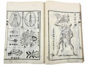 Zentai Shinron  Nouvelles théories sur le corps humain en entier - New theories about the human body as a whole .  par HOBSON, Benjamin ; SUHARAYA MOHE.  - Image 8