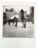 Le cheval au cirque d'hiver. Photographie originale. . LOUIS, Christian. 
