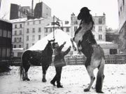 Le cheval au cirque d'hiver. Photographie originale.  par LOUIS, Christian.  - Image 2