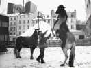 Le cheval au cirque d'hiver. Photographie originale. . LOUIS, Christian. 