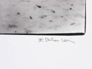 Le cheval au cirque d'hiver. Photographie originale.  par LOUIS, Christian.  - Image 3