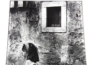 La jeune fille au masque en croissant de lune. Photographie originale.  par LOUIS, Christian.  - Image 6