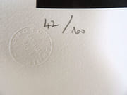 La lumière des acrobates. Photographie originale.  par LOUIS, Christian.  - Image 4