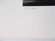 Le cycliste urbain. Photographie originale.  par LOUIS, Christian.  - Image 5