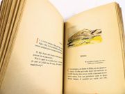 Amyntas. par GIDE, André. - Image 10