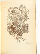 Le Bouquet de la Mariée.  par GROS, Gabriel-Joseph.  - Image 18