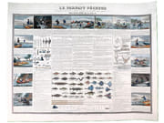 Le parfait Pêcheur. Description des diverses natures de pêches, saisons, filets engins, appâts. [GRAVURE XIXe ORIGINALE AQUARELLÉE - PÊCHE - POISSONS]  par  - Image 1