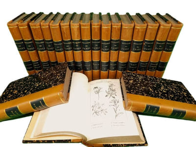 Encyclopédie des Dames.