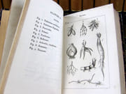 Encyclopédie des Dames.  par COLLECTIF.  - Image 16