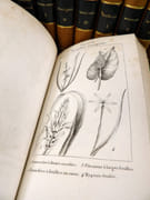 Encyclopédie des Dames.  par COLLECTIF.  - Image 17