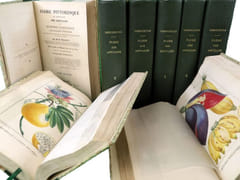 Flore pittoresque et médicale des Antilles ou Histoire naturelle des plantes usuelles des colonies françaises, anglaises, espagnoles et portugaises.  par DESCOURTILZ, Michel Étienne (1775-1835). 