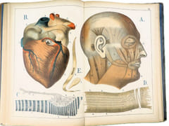 Atlas d'histoire naturelle. Le corps humain. Description anatomique de l'Homme.  par ECKART, Théodore. 