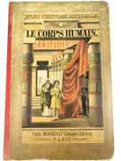 Atlas d'histoire naturelle. Le corps humain. Description anatomique de l'Homme.  par ECKART, Théodore.  - Image 2
