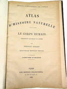 Atlas d'histoire naturelle. Le corps humain. Description anatomique de l'Homme.  par ECKART, Théodore.  - Image 3