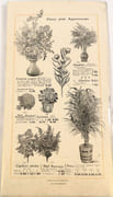 Exposition de Dentelles. Lundi 18 Février. Au Printemps. Gants, Voilettes, Parfumerie, Fleurs. [CATALOGUE]  par LE PRINTEMPS.  - Image 5