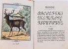 AlphaBet. Animaux n&deg;2. S&eacute;rie Brillante. . 
