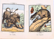 AlphaBet. Animaux n°2. Série Brillante.  par  - Image 3