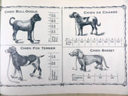 Catalogue de Jouets. Fabrique de Chevaux & Animaux en Peau.  par LENOBLE, G.  - Image 5