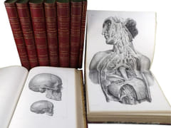 Traité complet de l'anatomie de l'Homme, comprenant la médecine chirurgicale et la médecine opératoire, avec planches lithographiées d'après nature. COLLECTION COMPLÈTE.  par BOURGERY, Jean-Marc ; BERNARD, Claude ; JACOB, Nicolas Henri ; DUCHAUSSOY, Dr. 