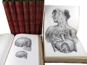 Traité complet de l'anatomie de l'Homme, comprenant la médecine chirurgicale et la médecine opératoire, avec planches lithographiées d'après nature. COLLECTION COMPLÈTE.  par BOURGERY, Jean-Marc ; BERNARD, Claude ; JACOB, Nicolas Henri ; DUCHAUSSOY, Dr.  - Image 1