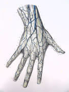 Traité complet de l'anatomie de l'Homme, comprenant la médecine chirurgicale et la médecine opératoire, avec planches lithographiées d'après nature. COLLECTION COMPLÈTE.  par BOURGERY, Jean-Marc ; BERNARD, Claude ; JACOB, Nicolas Henri ; DUCHAUSSOY, Dr.  - Image 11