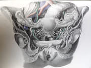 Traité complet de l'anatomie de l'Homme, comprenant la médecine chirurgicale et la médecine opératoire, avec planches lithographiées d'après nature. COLLECTION COMPLÈTE.  par BOURGERY, Jean-Marc ; BERNARD, Claude ; JACOB, Nicolas Henri ; DUCHAUSSOY, Dr.  - Image 17