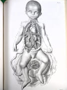 Traité complet de l'anatomie de l'Homme, comprenant la médecine chirurgicale et la médecine opératoire, avec planches lithographiées d'après nature. COLLECTION COMPLÈTE.  par BOURGERY, Jean-Marc ; BERNARD, Claude ; JACOB, Nicolas Henri ; DUCHAUSSOY, Dr.  - Image 18