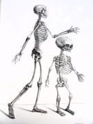 Traité complet de l'anatomie de l'Homme, comprenant la médecine chirurgicale et la médecine opératoire, avec planches lithographiées d'après nature. COLLECTION COMPLÈTE.  par BOURGERY, Jean-Marc ; BERNARD, Claude ; JACOB, Nicolas Henri ; DUCHAUSSOY, Dr.  - Image 4