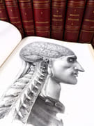 Traité complet de l'anatomie de l'Homme, comprenant la médecine chirurgicale et la médecine opératoire, avec planches lithographiées d'après nature. COLLECTION COMPLÈTE.  par BOURGERY, Jean-Marc ; BERNARD, Claude ; JACOB, Nicolas Henri ; DUCHAUSSOY, Dr.  - Image 7