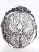 Traité complet de l'anatomie de l'Homme, comprenant la médecine chirurgicale et la médecine opératoire, avec planches lithographiées d'après nature. COLLECTION COMPLÈTE.  par BOURGERY, Jean-Marc ; BERNARD, Claude ; JACOB, Nicolas Henri ; DUCHAUSSOY, Dr.  - Image 8