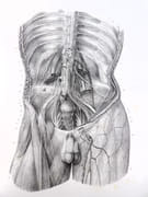 Traité complet de l'anatomie de l'Homme, comprenant la médecine chirurgicale et la médecine opératoire, avec planches lithographiées d'après nature. COLLECTION COMPLÈTE.  par BOURGERY, Jean-Marc ; BERNARD, Claude ; JACOB, Nicolas Henri ; DUCHAUSSOY, Dr.  - Image 9