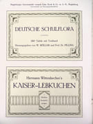 Garnitur moderner Richtung n° 8943 (Ensemble de style moderne). TYPOGRAPHIE ART NOUVEAU.  par MAGDEBURGER GRAVIRANSTALT VORMALS EDM. KOCK & CO. m. b. H.  - Image 5