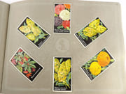 [Catalogue de graines-Horticulture] par SIMON LOUIS Frères & Cie. - Image 13